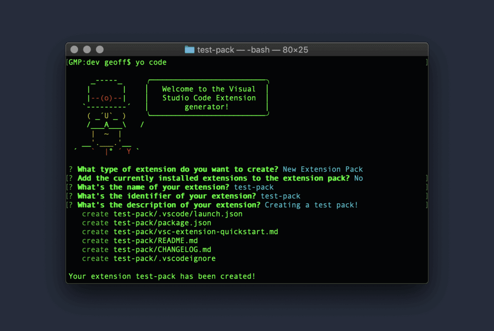 Terminal with completed yo code prompts